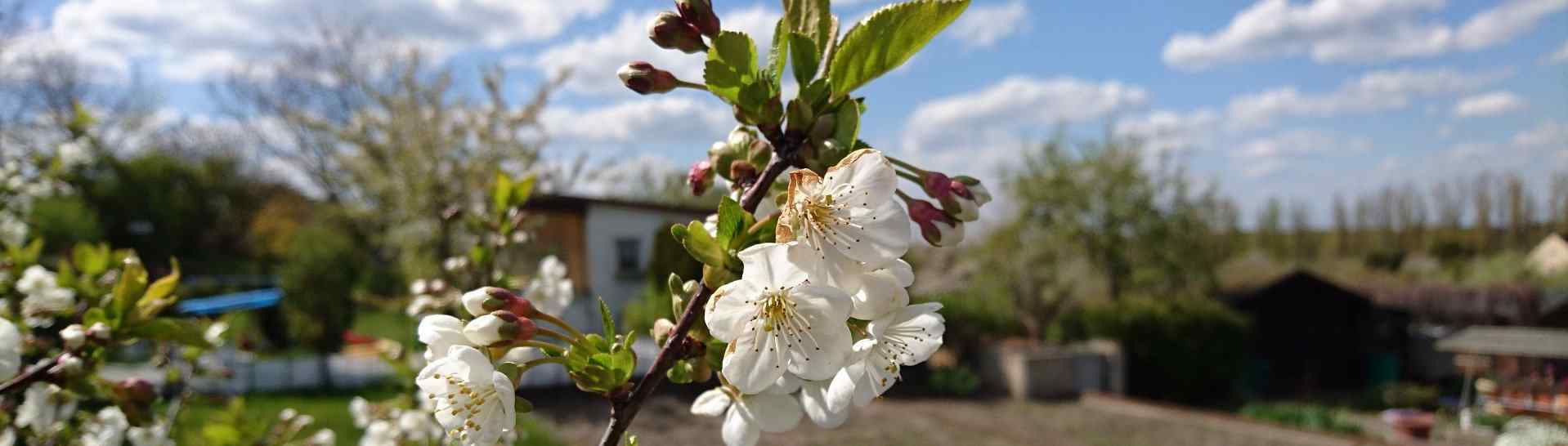 Easter new life